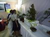 BONSAI_Exhibition-03.jpg